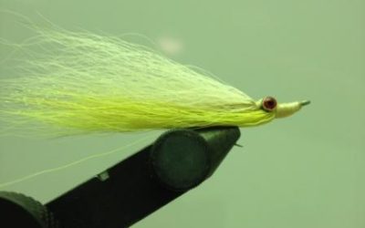 The clouser style fly-the fleeing prey