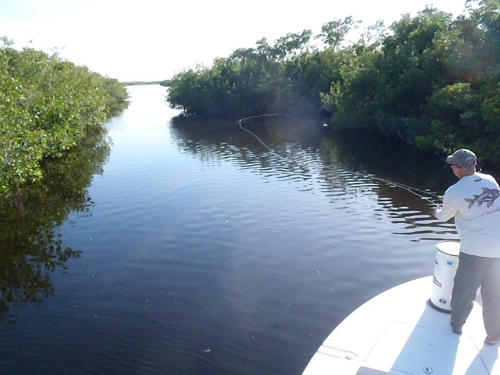 Charlotte Harbor fishing report